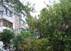 Камышане собрали в соцсетях фотоподтверждения буйства вчерашнего ветра