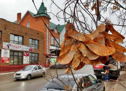 Камышин на пороге зимы накрывает волна потепления до +9-ти