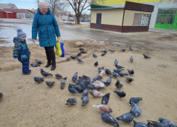 Морозно и солнечно: погодная повестка в Камышине на последние дни зимы