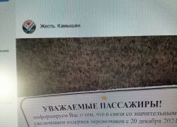 В Камышине обленившиеся паблики и СМИ без толку перепугали горожан "вбросом" о предновогоднем массовом подорожании проезда в маршрутках