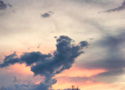 О чьей кремации решил ни с того, ни с сего рассказать миру камышинский сайт "Инфокам"