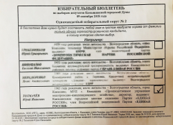 Ноу-хау агитационных технологий в Камышине от "Единой России": все конкуренты "размазаны"