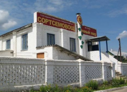 Камышинская городская прокуратура добилась полного погашения долгов по зарплате в АО "Сортсемовощ"