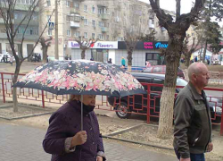 В Камышине пятница окажется дождливой и прохладной