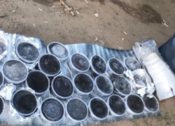 В Волгограде с трапа самолета сошел уверенный гражданин с кейсом черной икры, а оперативники тут как тут