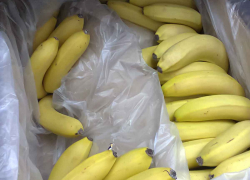 В Волгоградской области подешевевшие яблоки и подорожавшие бананы практически сравнялись в цене
