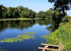 Со дна спокойной Иловли в Камышинском районе подняли второй  труп за последние три дня