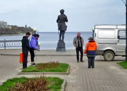 В Камышине "бодрящий душ" назначили проснувшимся розам