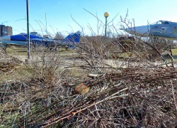 В Камышине службы благоустройства завалили ветками парк Победы после весенней обрезки