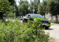 Администрация Камышина требует от горожан "периодического кошения травы" и уборки всей городской территории под угрозой штрафа в 4 тысячи