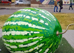 "Хоть бы кто-нибудь подмел "коврик" под полосатым символом, ведь Арбуз-памятник пылится в мусоре!" - камышанин