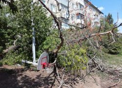 В Камышине под порывами ветра рухнуло дерево и снесло детские конструкции, чудом никто не пострадал