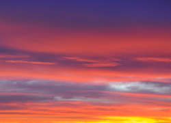 Отважная жена спасла жизнь обезумевшему от горя мужу