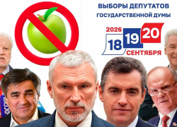 «Яблоко» сняли: почему только «Родина» пошла до конца, обратившись в суд, и чем это для нее обернётся