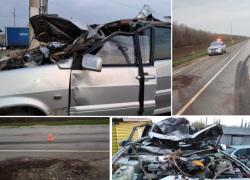 Ночью на московской трассе водитель отечественного автомобиля врезался в лошадь и погиб на месте