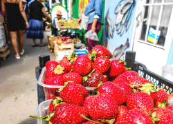 В Камышине начали продавать клубнику второго урожая, который еще дороже первого