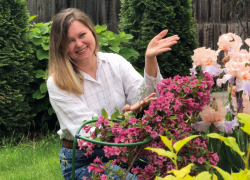 Июль: пора делить и размножать ирисы 