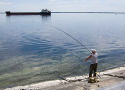 Стал известен еще один выдвиженец по "камышинскому" избирательному округу на выборах в Госдуму