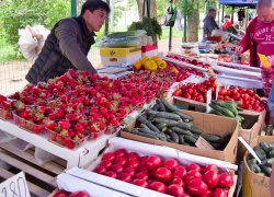 Огурцы подешевели, но другие витаминные товары  прибавили в цене в Волгоградской области