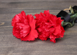 На линии соприкосновения погиб камышанин Никита Мещеряков