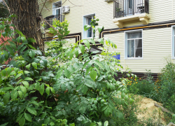 В Камышине сегодня, 12 августа, вновь отключают электричество, и не только, в десятках домов