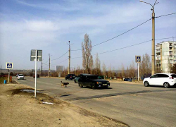 В Камышине подряды на ремонты площадок благоустройства в следующем году получают местные, а не залетные строители - ну, и..?