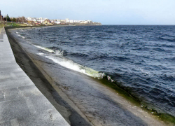 В акватории Камышина открылась навигация