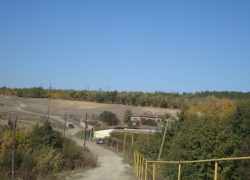 Бодрый пенсионер затащил знакомую в лесополосу у села Средняя Камышинка, изнасиловал ее и пообещал убить