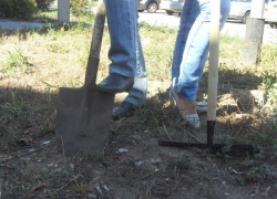 Завтра в Камышине пройдет общегородской субботник