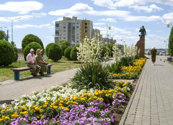 В Камышине на улице Некрасова сбили пенсионерку на пешеходном переходе