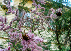 День больших отключений устроили коммунальщики в Камышине 4 августа