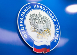 Налоговая служба раскрыла для каждого прежде тайные данные о бизнес-структурах