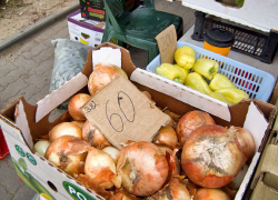 Об опасном луке с нитратами от призрачного «Чиполлино» предупредили камышан