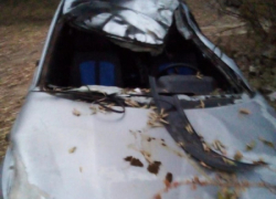 В Камышинском районе молодой водитель ночью наехал на лошадь и попал к медикам с травмами