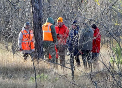 В Камышине поисково-спасательный отряд "Лиза Алерт" вывел новичков на тренировку в питомник (ВИДЕО)