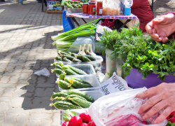 Администрация Камышина обсчиталась с процентом нищих в городе - он увеличился, а не уменьшился за год