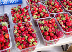 Клубнику второго урожая можно купить на камышинских рынках по 600 рублей за килограмм