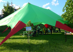 Камышане "взорвались" от очередной принудительной подписки на газету администрации Камышина "Диалог"