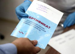 Полиция столкнулась с поставленными на поток подделками сертификатов о вакцинации от коронавируса в Волгоградской области