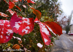 Сервисы погоды "нарисовали" вперемешку с каплями снежинки в прогнозе для Камышина на 15 октября