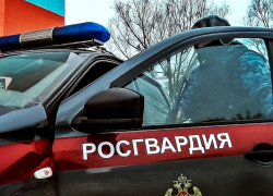 В Камышине росгвардейцы препроводили в полицию вора с чужим компьютером