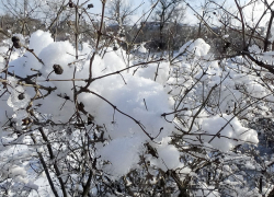 Жителей Волгоградской области проинформировали о радиационном фоне в регионе