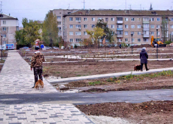 В Камышине собаки уже используют дорожки нового парка под свои туалеты, - камышанка