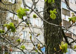 Где в Камышине сегодня, 23 апреля, продолжат отключать электричество