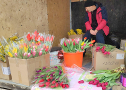 В Камышине начали продавать тюльпаны для милых дам - по 150 рублей за цветок