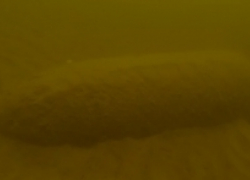 ГУ МЧС по Волгоградской области распространило подробности о найденной на пляже авиационной бомбе