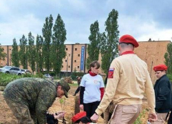 Военные и юнармейцы начали разбивать новый сквер на 3-м городке в Камышине - недалеко от памятника погибшим в СВО