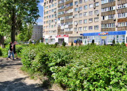 В многоквартирных домах на улицах Некрасова и Базарова отключат электричество сегодня, 18 июля