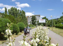 В Камышине оперативники задержали предполагаемого убийцу мужчины в общежитии на улице Некрасова