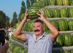 Во второй половине дня Арбузный фестиваль в Камышине выдохся